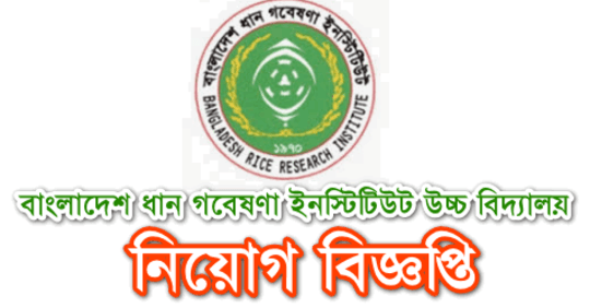 brri govt job