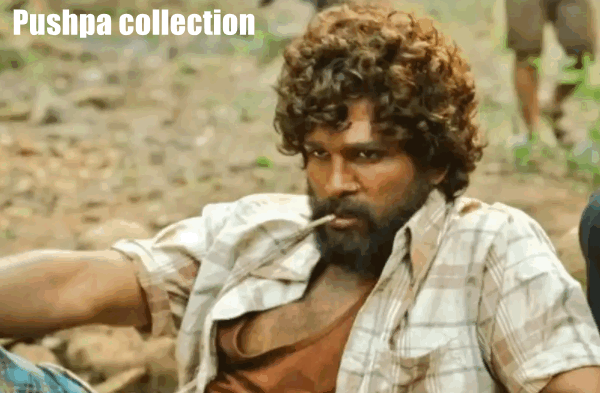 Pushpa box office collection worldwide - (From day 1 - 36 collection)