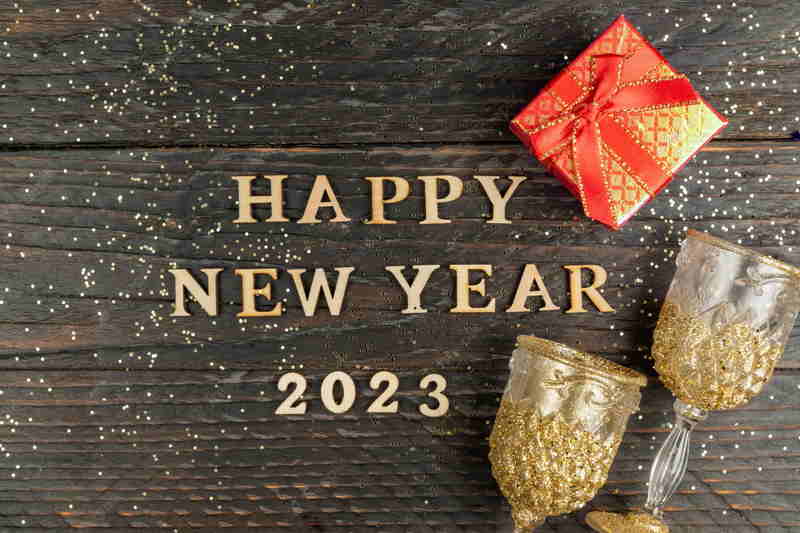 Happy New Year Celebrating Ideas