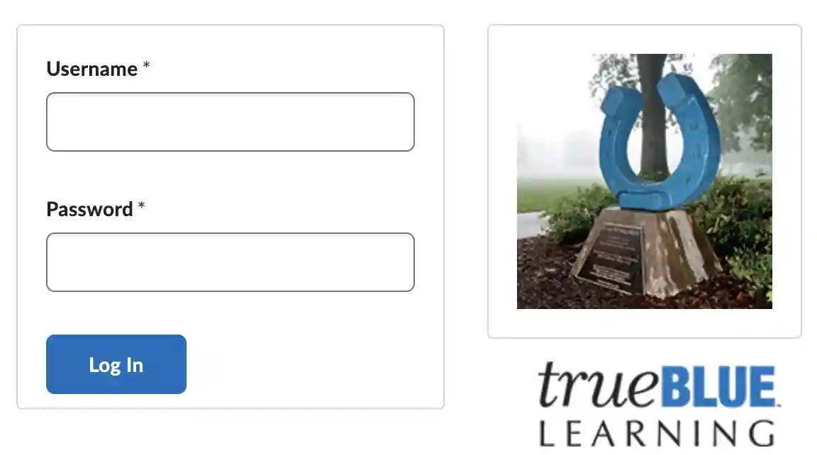 mtsu test tbr desire2learn login