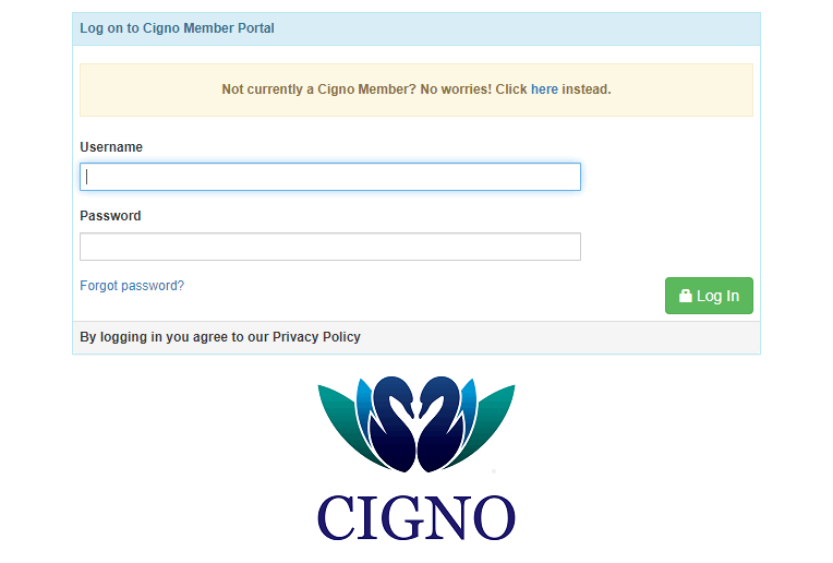 cigno loans contact